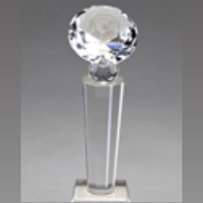 leadership driving Budhale Presstech India's award