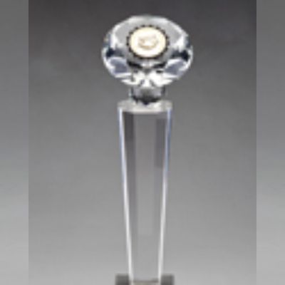 leadership driving Budhale Presstech India's award