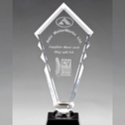 leadership driving Budhale Presstech India's award